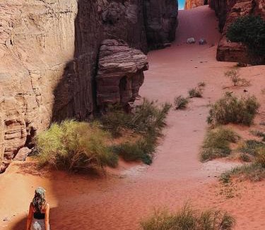 Wadi Rum Bed & Breakfast | Camp in the natural reserve & tours