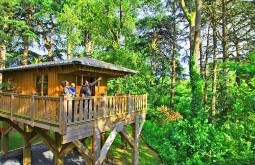 Albi House | Camping 4 étoiles - Piscine - ef0fdb