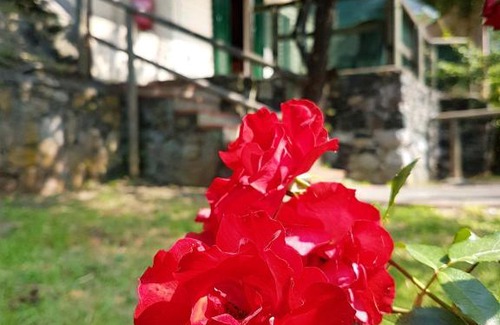 Deiva Marina Other | Camping Arenella