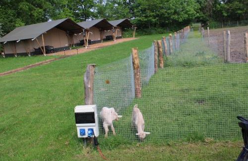 Oldemarkt Other | Camping De Waterbuffelfarm