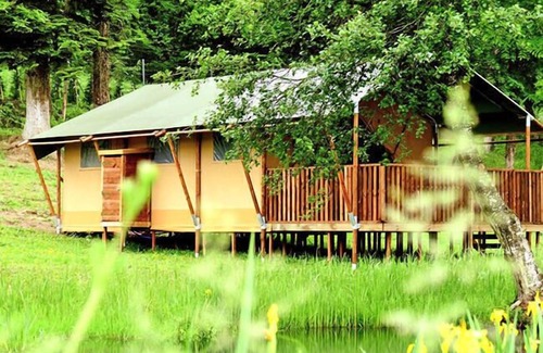 Louvemont House | Camping le Buisson * - Wooden Chalet 3 rooms 4 people