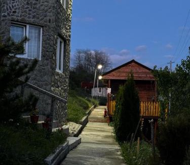 Merisor Other | Camping, Picnic Merișor Bănița Hunedoara