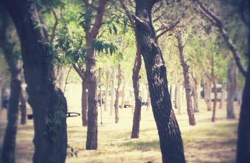 Manfredonia Other | Camping Tellina