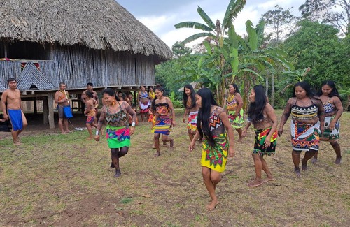 Panama Bed & Breakfast | Campo laurel