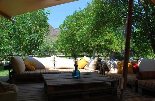 Cirali Other | Campo Portakal Eco Glamping