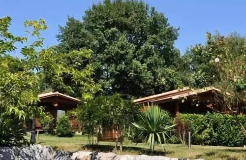Montrejeau Ski Chalet | Campsite Midi Pyrenees * - Chalet 3 bedrooms 6 people