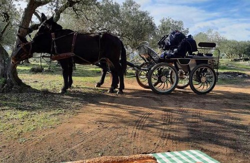 Avinyonet de Puigventos Apartment | Can Barraca
