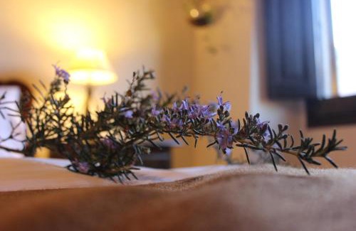 Sant Esteve de Palautordera House | Can Marc