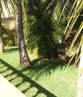 Olimpia House | Cantinho São João