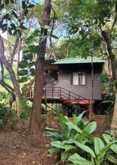 Sirsi Other | Captain's Camp