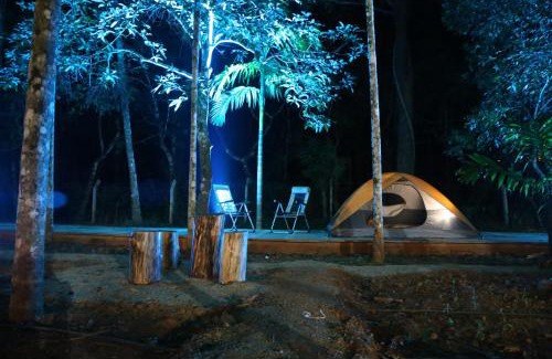 Sirsi Other | Captain's Camp