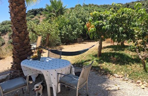 Almayate Bajo Other | Caravan in Finca Molino in Almayate with with pool, family touch and dog madness