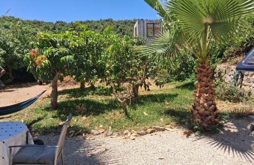 Almayate Bajo Other | Caravan in Finca Molino in Almayate with with pool, family touch and dog madness