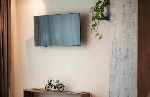 Birstonas Apartment | Carlo Apartments