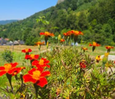 Dragoslavele Ski Chalet | Carpathian A-frame