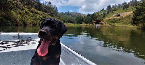 Gomez Plata Other | Carriquí Glamping