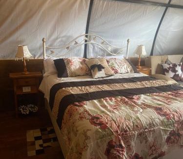 Bueno Brandao Cabin | Carroça Arizona, Vila Mágica