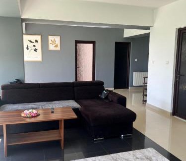 Satu Mare Apartment | Casă casă