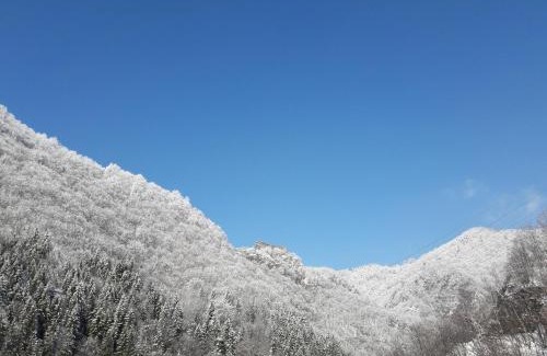 Capatineni-Ungureni House | Casă de vacanţă ,La Vălucu"