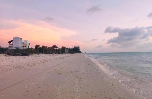 Celestun Apartment | Casa 3 flamencos - habitación independiente y apartamento