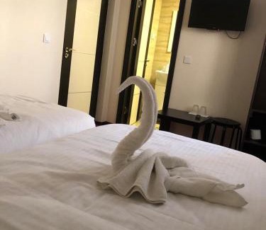 Harsova House | Casa Adrian