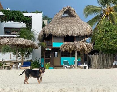 Rincon Cabin | Casa Akira- Rincón del Mar