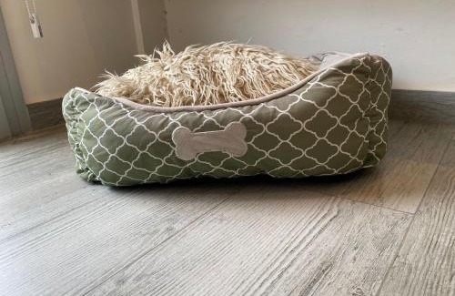 Corrientes House | casa alberdi