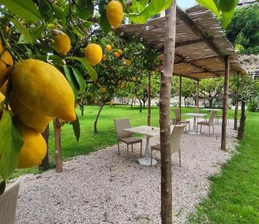 Minori Bed & Breakfast | Casa Amorino
