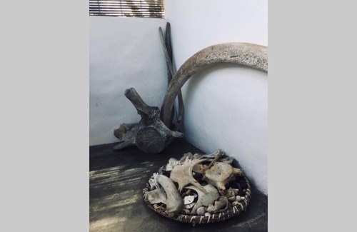 Velha Boipeba House | Casa ArcoIris