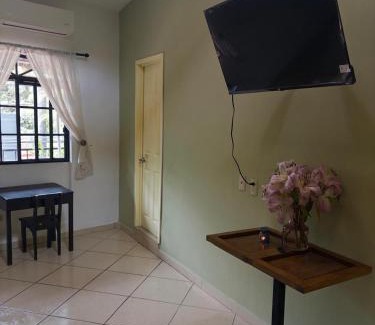 Ajijic Bed & Breakfast | Casa Axixic