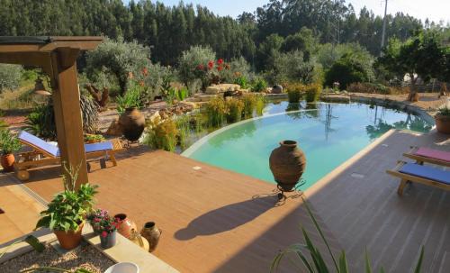 Aguda Apartment | Casa Azul self-catering apartment with gorgeous biological swimming pool
