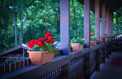 Bata House | Casa Bata