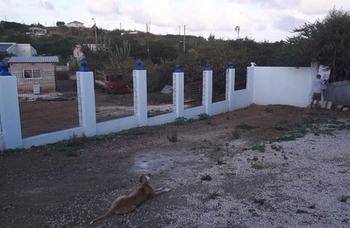 Willemstad House | Casa Bienvenida Vlakbij Strand, Optie HuurAuto’s voor $29usd pd of 4x4 $60 pd.