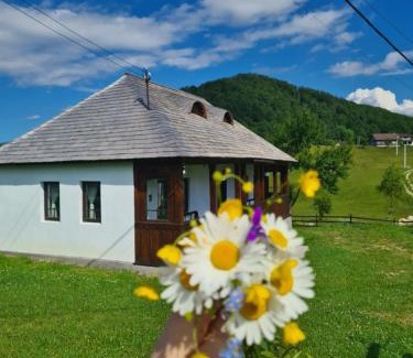 Dambovicioara House | Casa Bunicilor Ciocanu