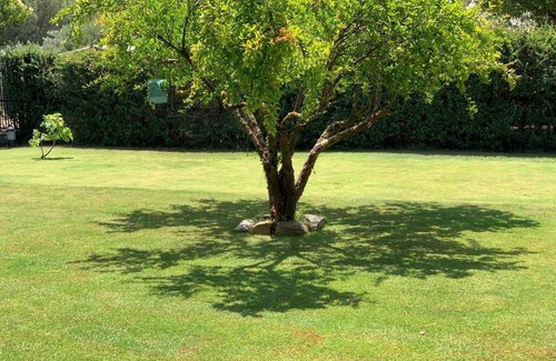 Chia House | Casa Chia a 5 minuti dal mare - Su Giudeu Tuerredda