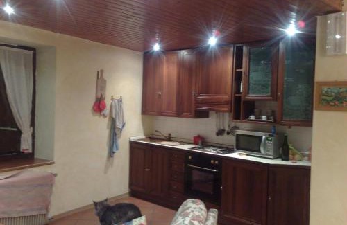 Caldes House | Casa Ciclamino Val Di Sole 10pax 7night