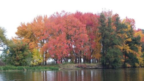 Lujan House | Casa Club en el Náutico Timón