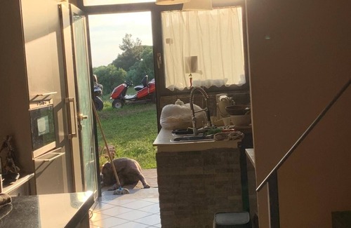 Livorno Bed & Breakfast | Casa Colonica Immersa nel Verde Delle Colline Livornesi, a 10 min dal Mare