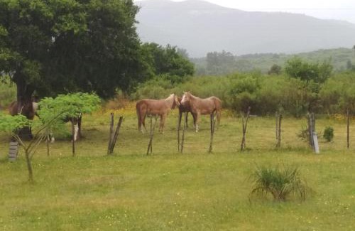 Maldonado House | Casa completa para 12 personas - El Encuentro, Mar y Sierras