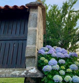 Vilanova de Arousa Apartment | Casa con piscina y barbacoa · Casa O vincular by Easy Life Rent