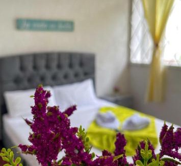Villeta House | Casa Condesa Hotel