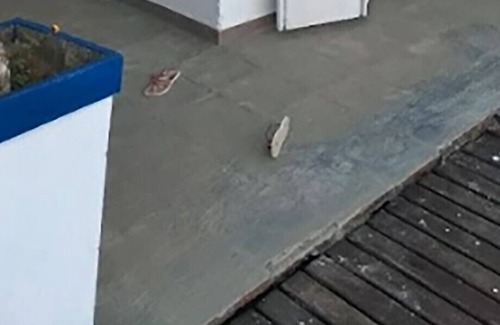 Angra dos Reis House | Casa confortável à beira-mar Praia de Figueira/RJ