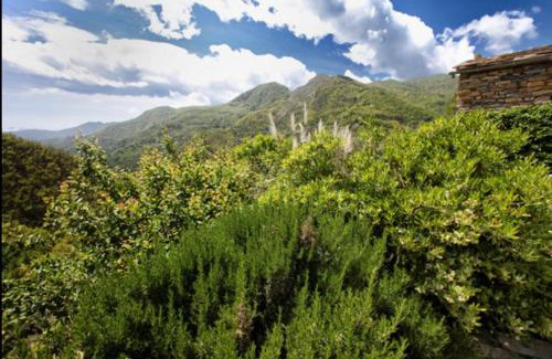Costa House | Casa Costa - Ruhe und Natur pur
