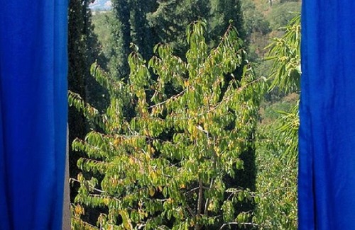 Scansano House | Casa Cuculo - Rustico mit Traumhaftem Meerblick