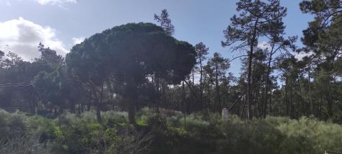 Vila Real Santo Antonio House | Casa do Poço