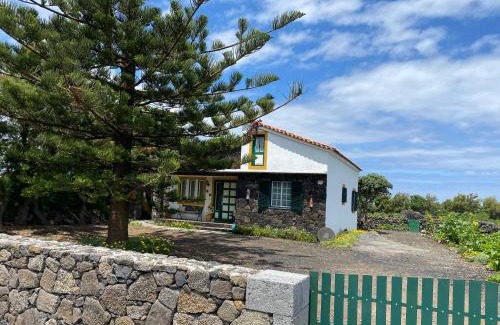 Madalena House | Casa da Costa