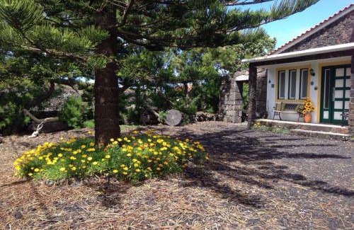 Madalena House | Casa da Costa