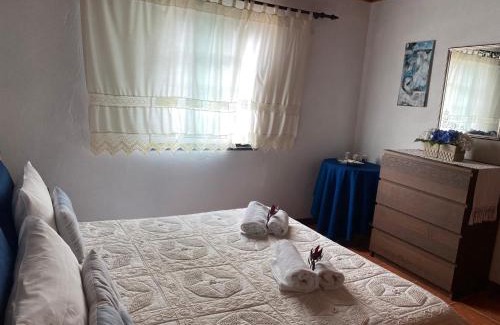 Madalena House | Casa da Costa