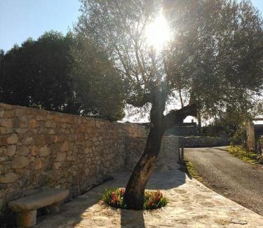 Alcobertas House | Casa da Figueirinha