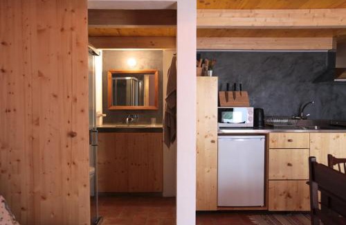 Minas de Sao Domingos Apartment | Casa das Minas